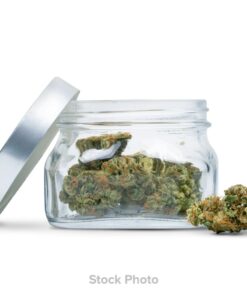 City Roots - Sleep Walker (Indica) Premium Flower (7g)
