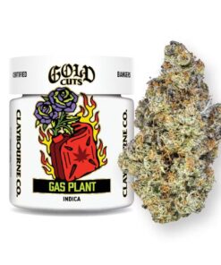 Claybourne CO. - Gasplant (Indica) Gold Cut Flower (3.5g)