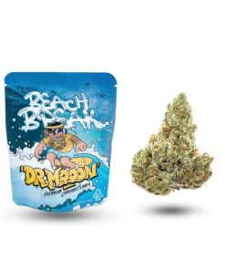 Dr. Mooon | Beach Break - 7g Flower
