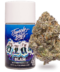 Jungle Boys | Blam - 3.5g Jar