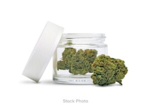 Jungle Boys – Blam Flower (3.5g)