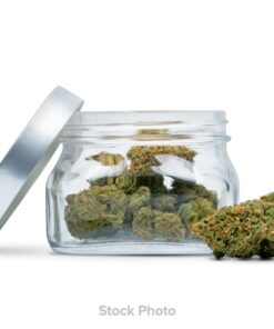 Jungle Boys - Blam POPS (10g)