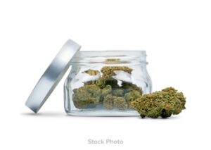 Jungle Boys – Blam POPS (10g)