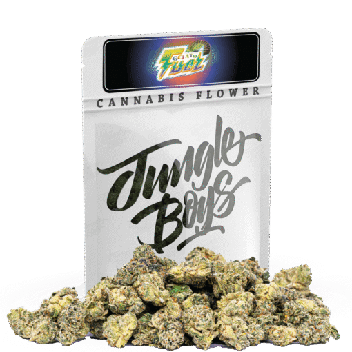 Jungle Boys | Gelato Fuel - 10g Smalls
