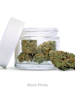 Jungle Boys - Ice Cream Cake POPS (10g)