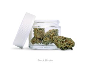 Jungle Boys – Ice Cream Cake POPS (10g)