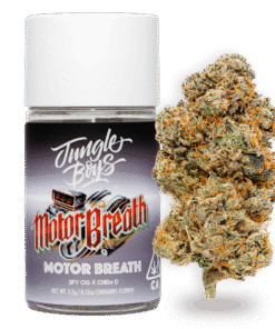 Jungle Boys | Motor Breath - 3.5g Jar