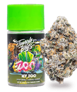 Jungle Boys | NY Zoo - 3.5g Jar