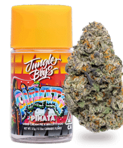 Jungle Boys | Pinata - 3.5g Jar