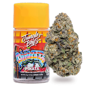 Jungle Boys | Pinata – 3.5g Jar