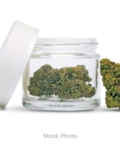 PoundCakes Farm - Willy's Runtz (Hybrid) Premium Flower (3.5g)