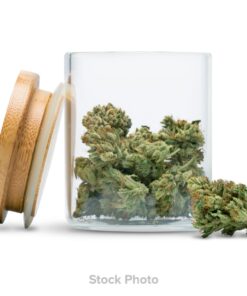 Wave Rider - Animal Face (Hybrid) Flower Smalls (14g)