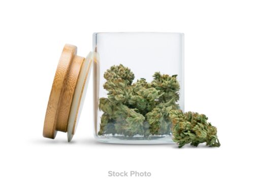 Wave Rider - Animal Face (Hybrid) Flower Smalls (14g)