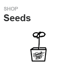 Seeds