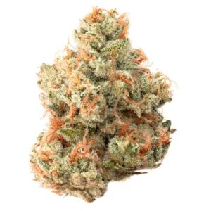 Team Elite Genetics | Freeze Cup (Hybrid) – 3.5g Flower